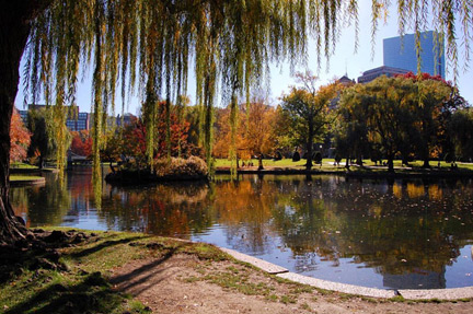 Boston Public Garden