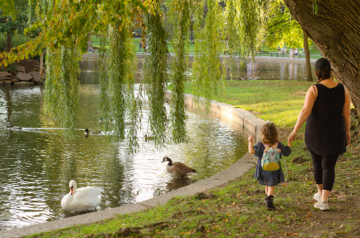 When & Where to Apply to Preschool: A Beacon Hill’s Guide