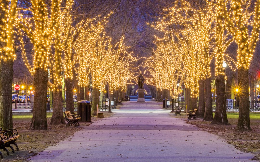 The 2024 Boston Holiday Season: Tree Lightings