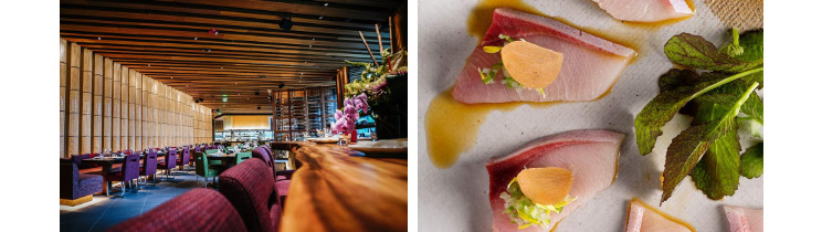 Zuma Boston Offers an Exceptional Dining Experience